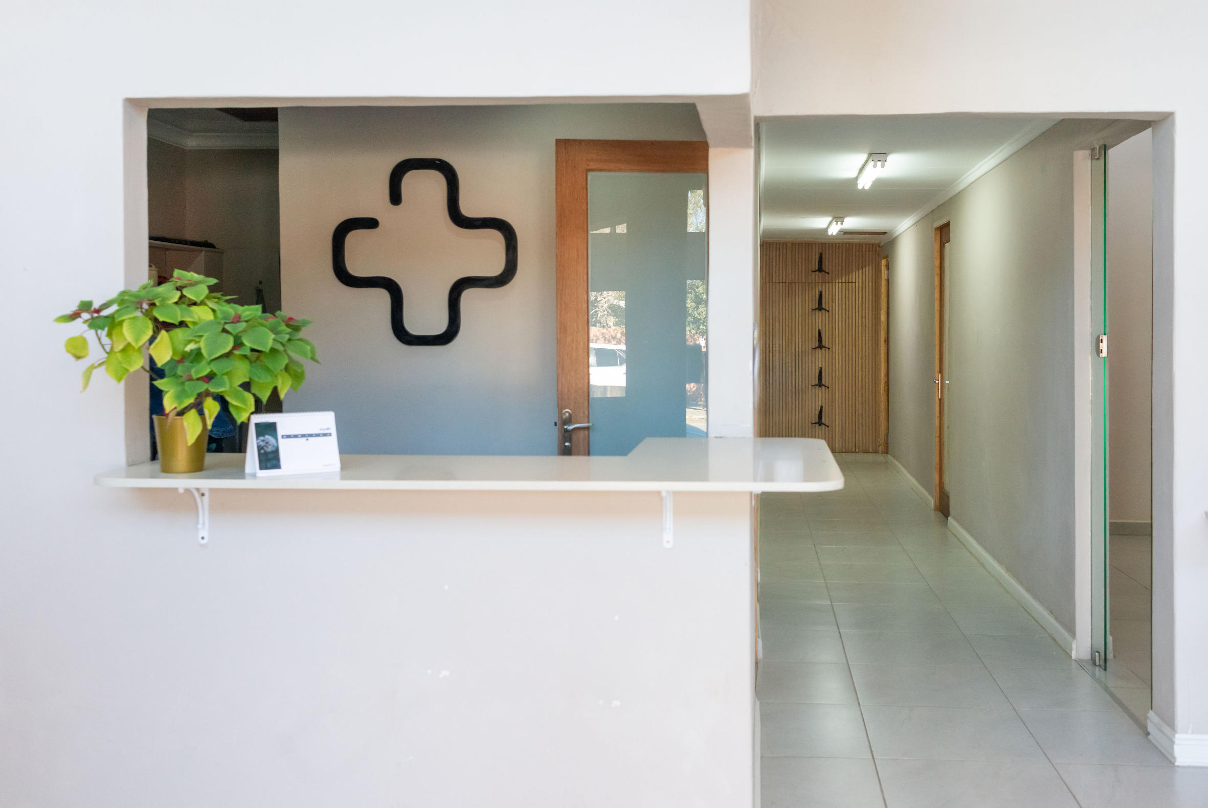 Reception desk with a green potted plant and a small calendar, a wooden door with frosted glass, and a hallway with coat hooks on the wall.